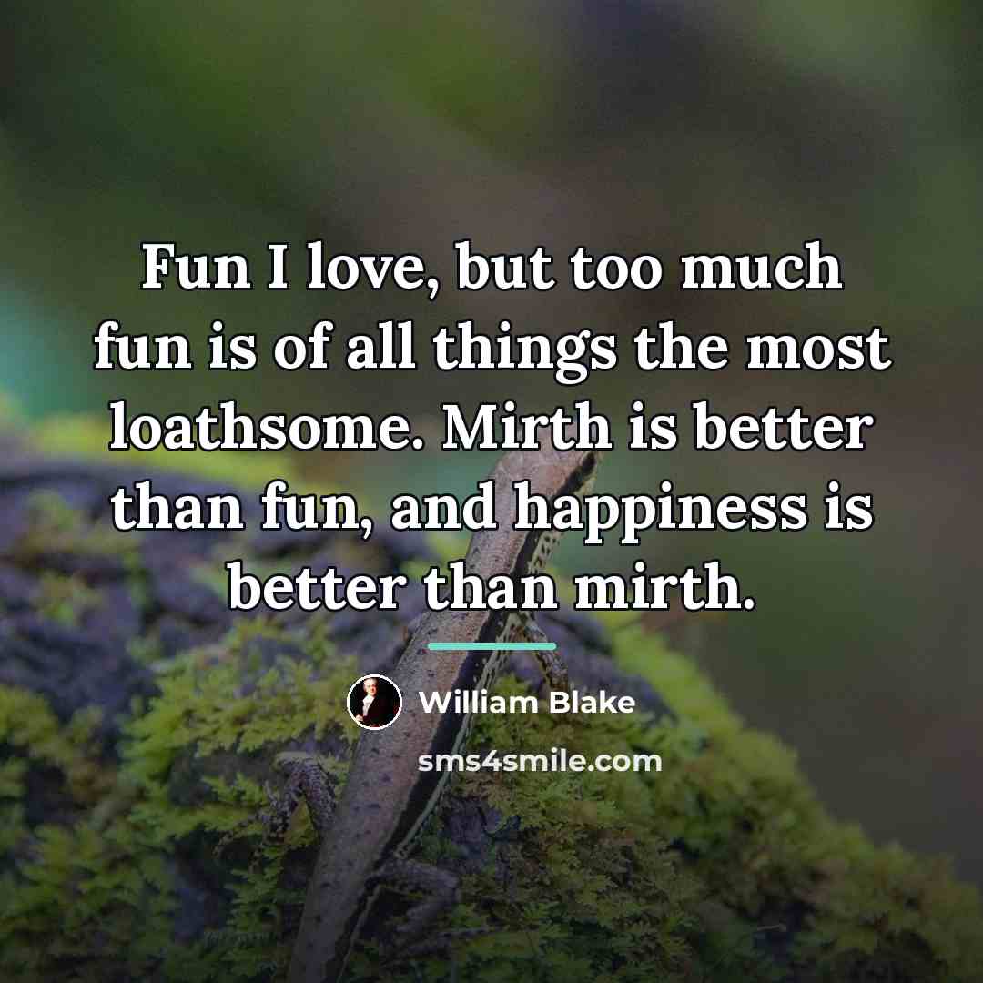 “Fun I love, but too much fun is of all…” quote by William Blake