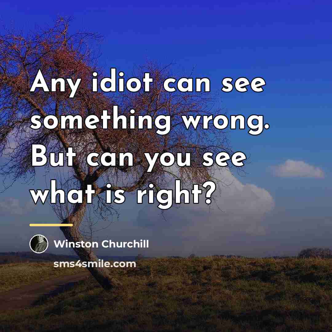 “Any idiot can see something wrong. But can you see…” quote by Winston Churchill