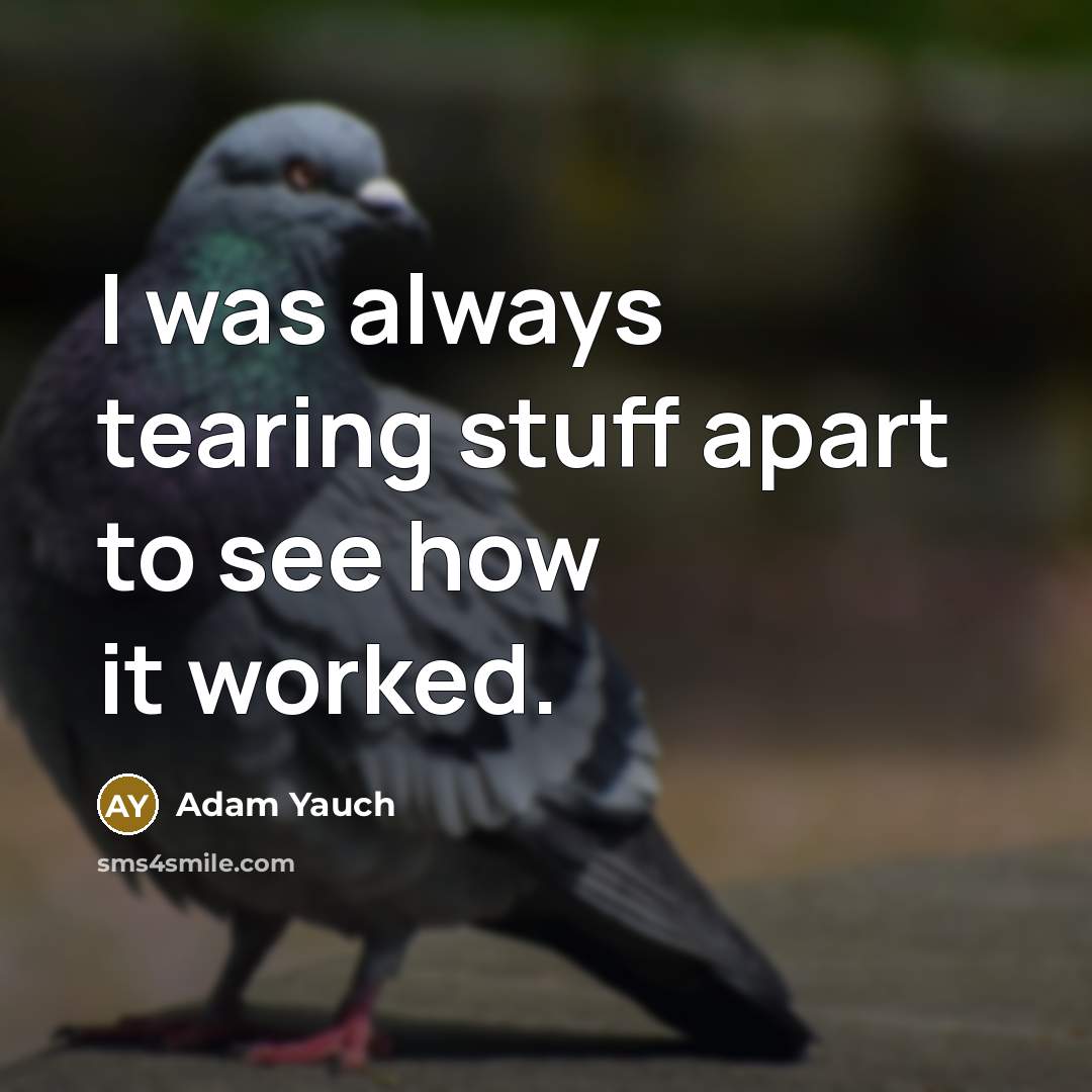 “I was always tearing stuff apart to see how it…” quote by Adam Yauch