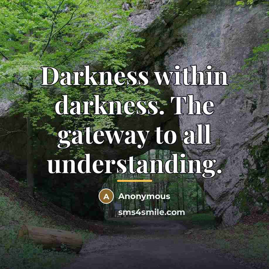 “Darkness within darkness. The gateway to all understanding.…” quote by Anonymous