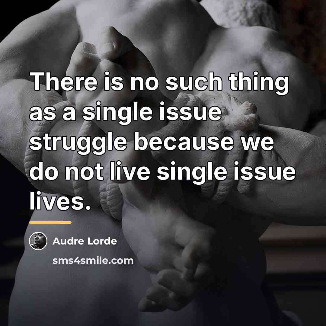 “There is no such thing as a single issue struggle…” quote by Audre Lorde