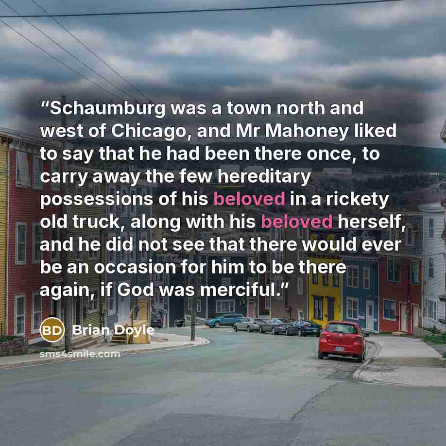 “Schaumburg was a town north and west of Chicago, and Mr Mahoney liked to say that he had been there once, to carry away the few hereditary possessions of his beloved in a rickety old truck, along with his beloved herself, and he did not see that there would ever be an occasion for him to be there…” quote by Brian Doyle