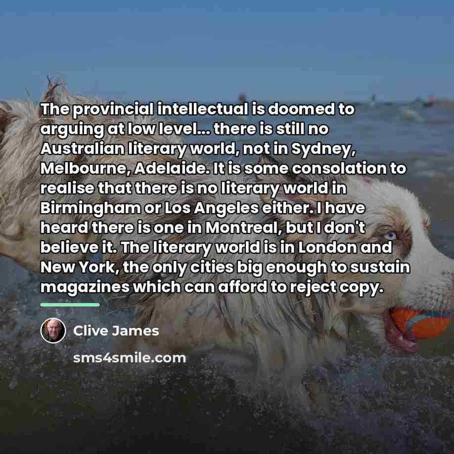 “The provincial intellectual is doomed to arguing at low level...…” quote by Clive James