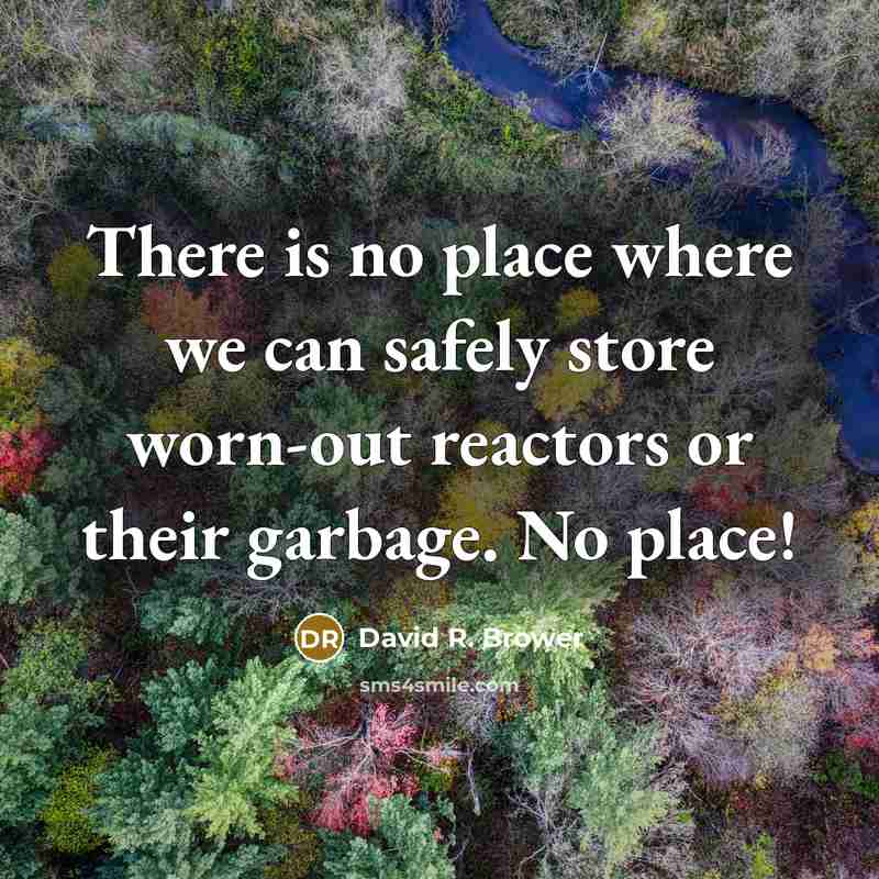 “There is no place where we can safely store worn-out…” quote by David R. Brower