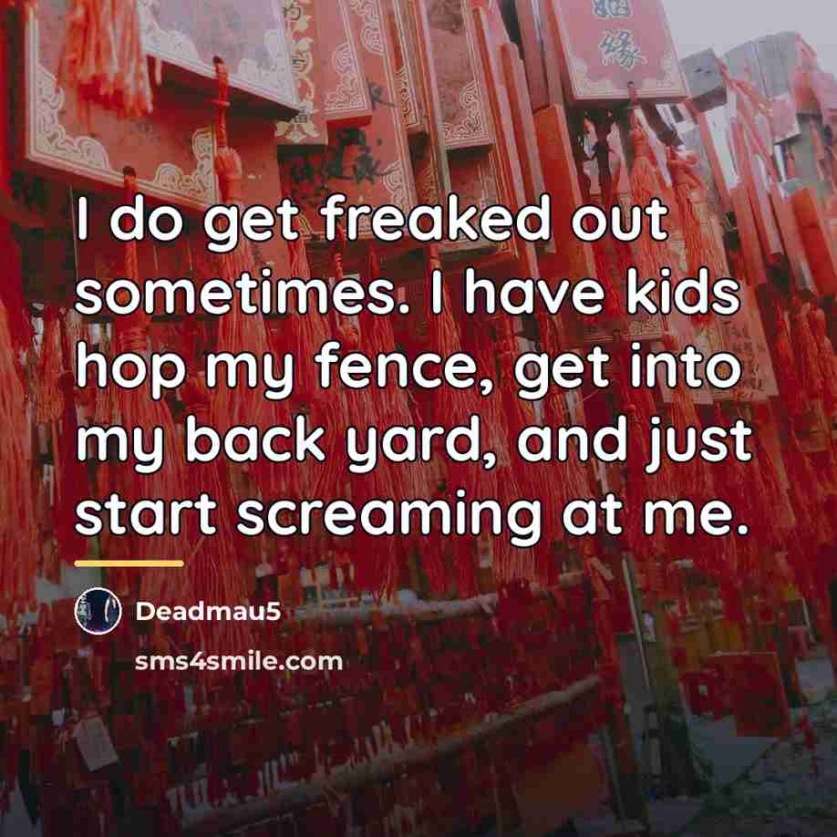 “I do get freaked out sometimes. I have kids hop…” quote by Deadmau5