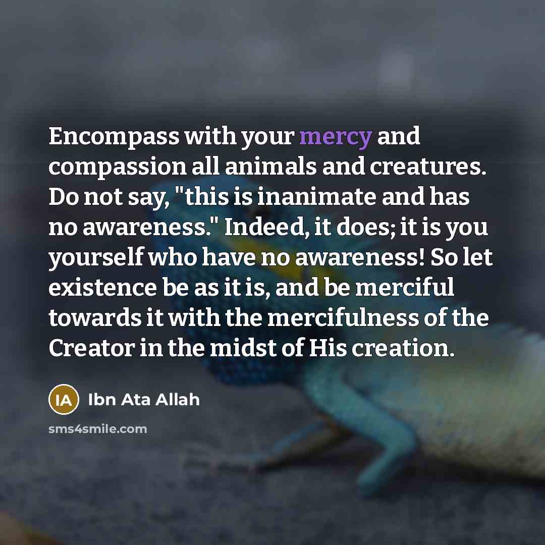 “Encompass with your mercy and compassion all animals and creatures.…” quote by Ibn Ata Allah