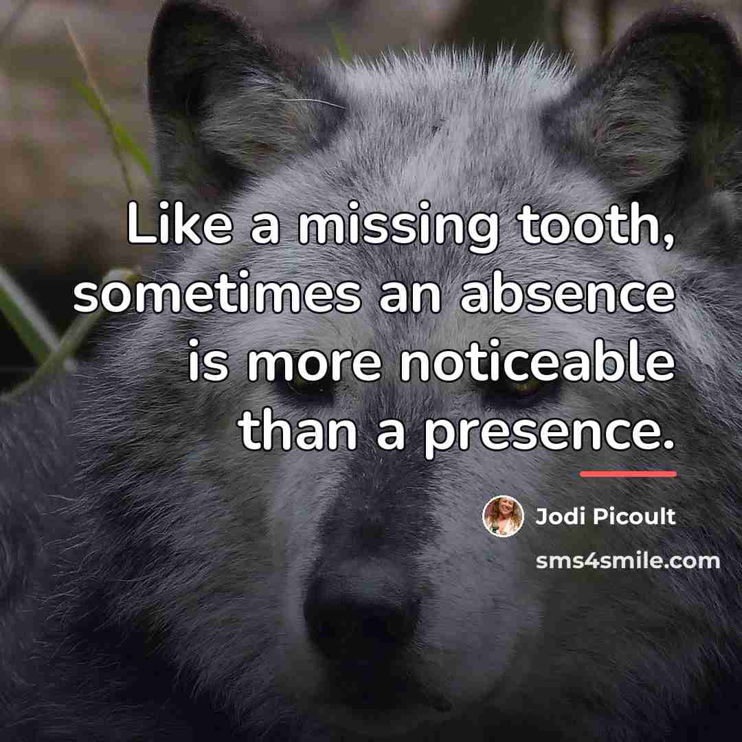 “Like a missing tooth, sometimes an absence is more noticeable…” quote by Jodi Picoult