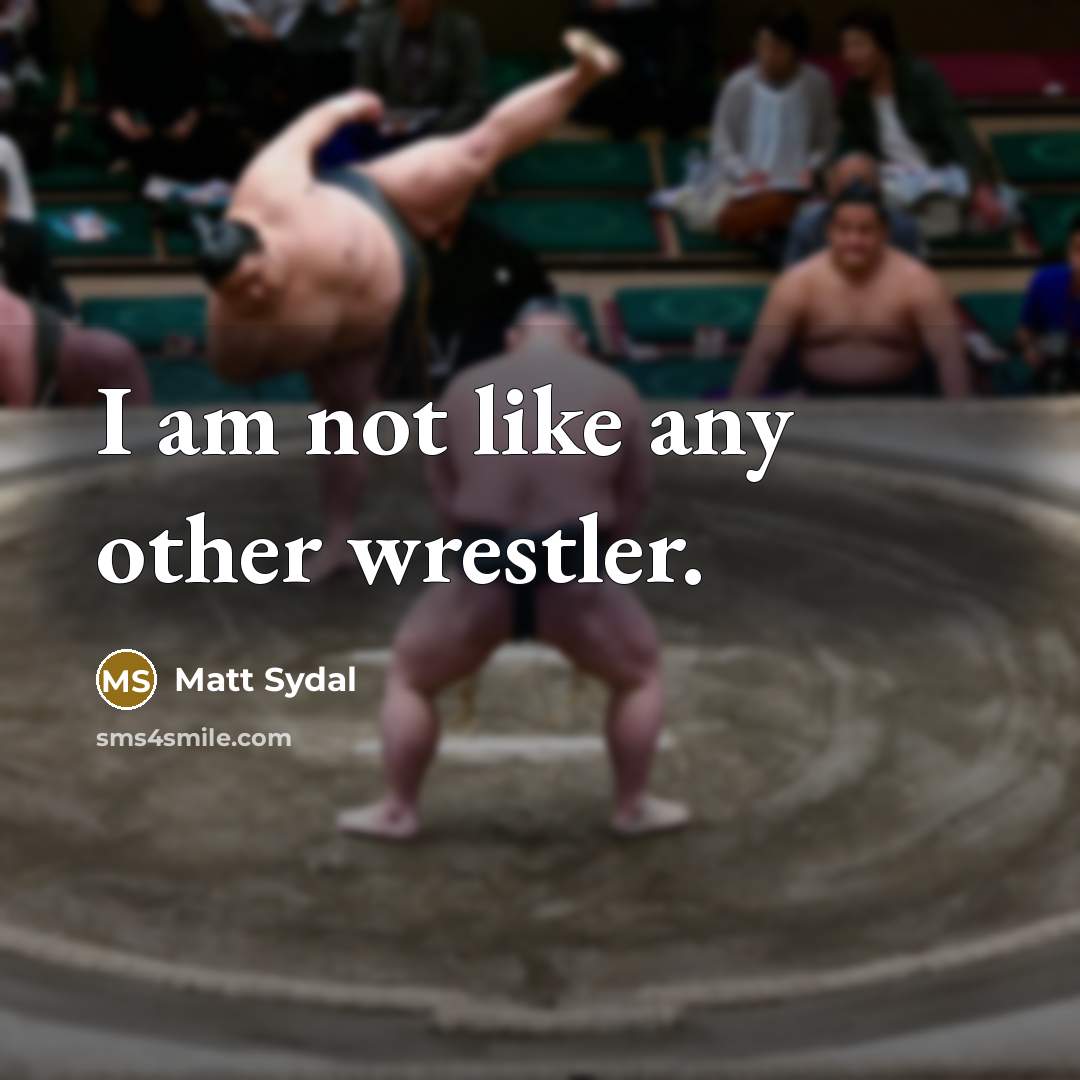 “I am not like any other wrestler.…” quote by Matt Sydal