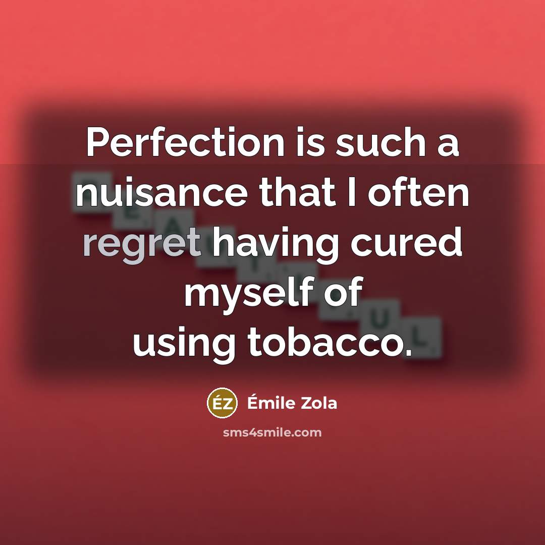 “Perfection is such a nuisance that I often regret having…” quote by Emile Zola