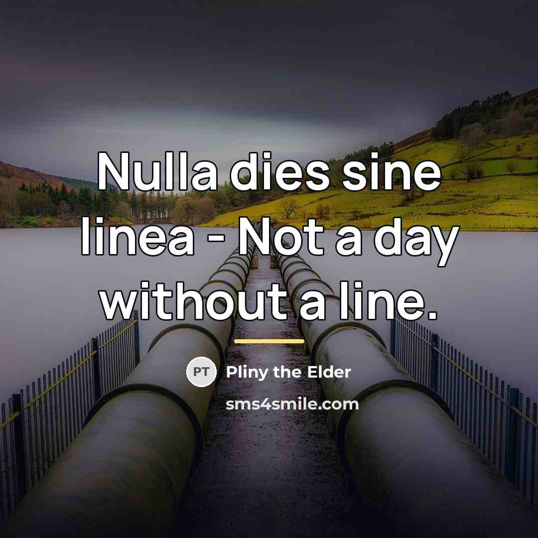 “Nulla dies sine linea - Not a day without a…” quote by Pliny the Elder