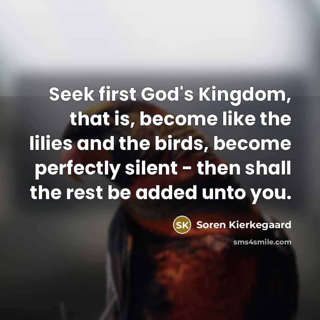 “Seek first God's Kingdom, that is, become like the lilies…” quote by Soren Kierkegaard