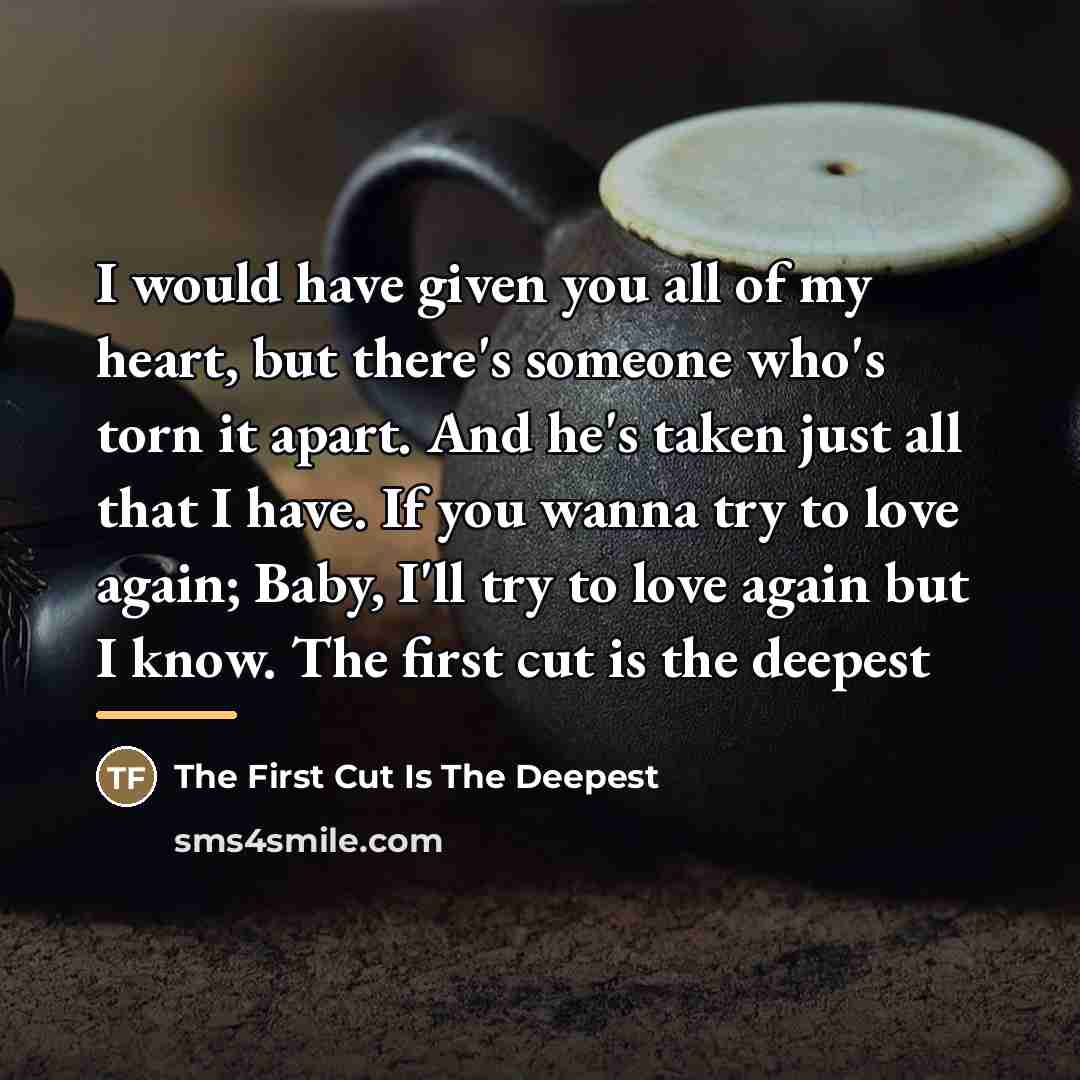 “I would have given you all of my heart, but…” quote by The First Cut Is The Deepest