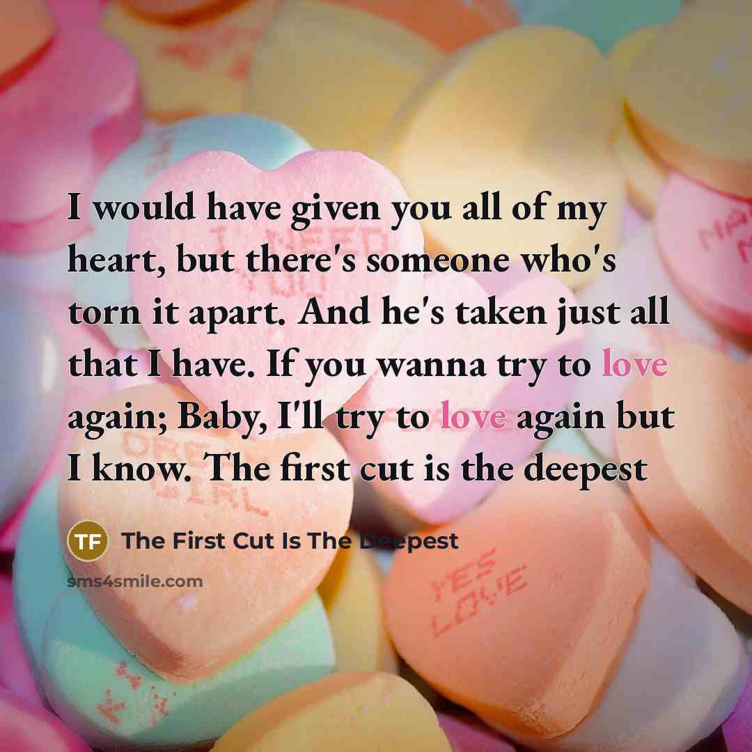 “I would have given you all of my heart, but there's someone who's torn it apart. And he's taken just all that I have. If you wanna try to love again; Baby, I'll try to love again but I know. The first cut is the deepest” quote by The First Cut Is The Deepest