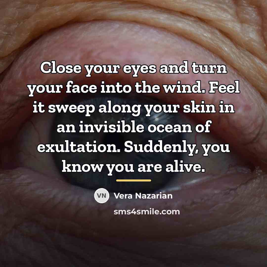 “Close your eyes and turn your face into the wind.…” quote by Vera Nazarian
