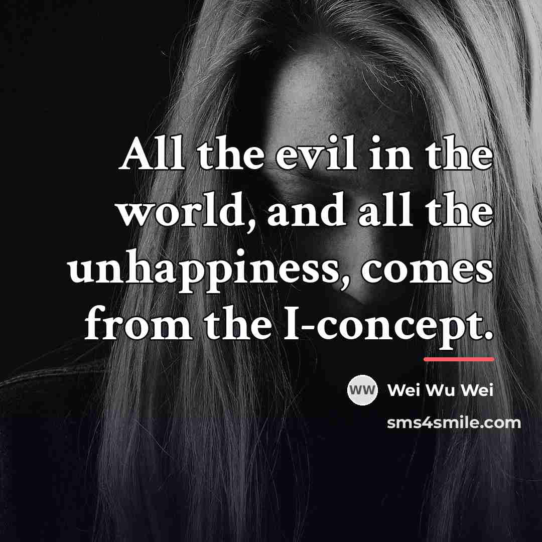 “All the evil in the world, and all the unhappiness,…” quote by Wei Wu Wei