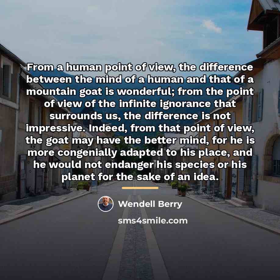 “From a human point of view, the difference between the…” quote by Wendell Berry