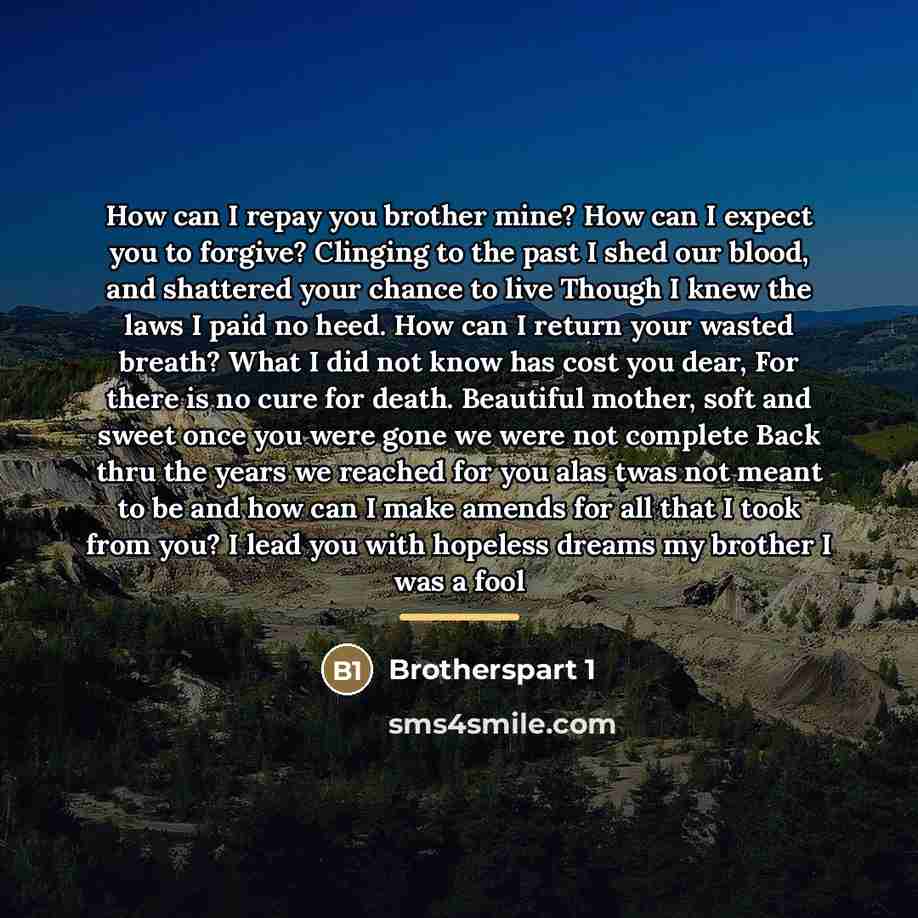 “How can I repay you brother mine? How can I…” quote by Brotherspart 1