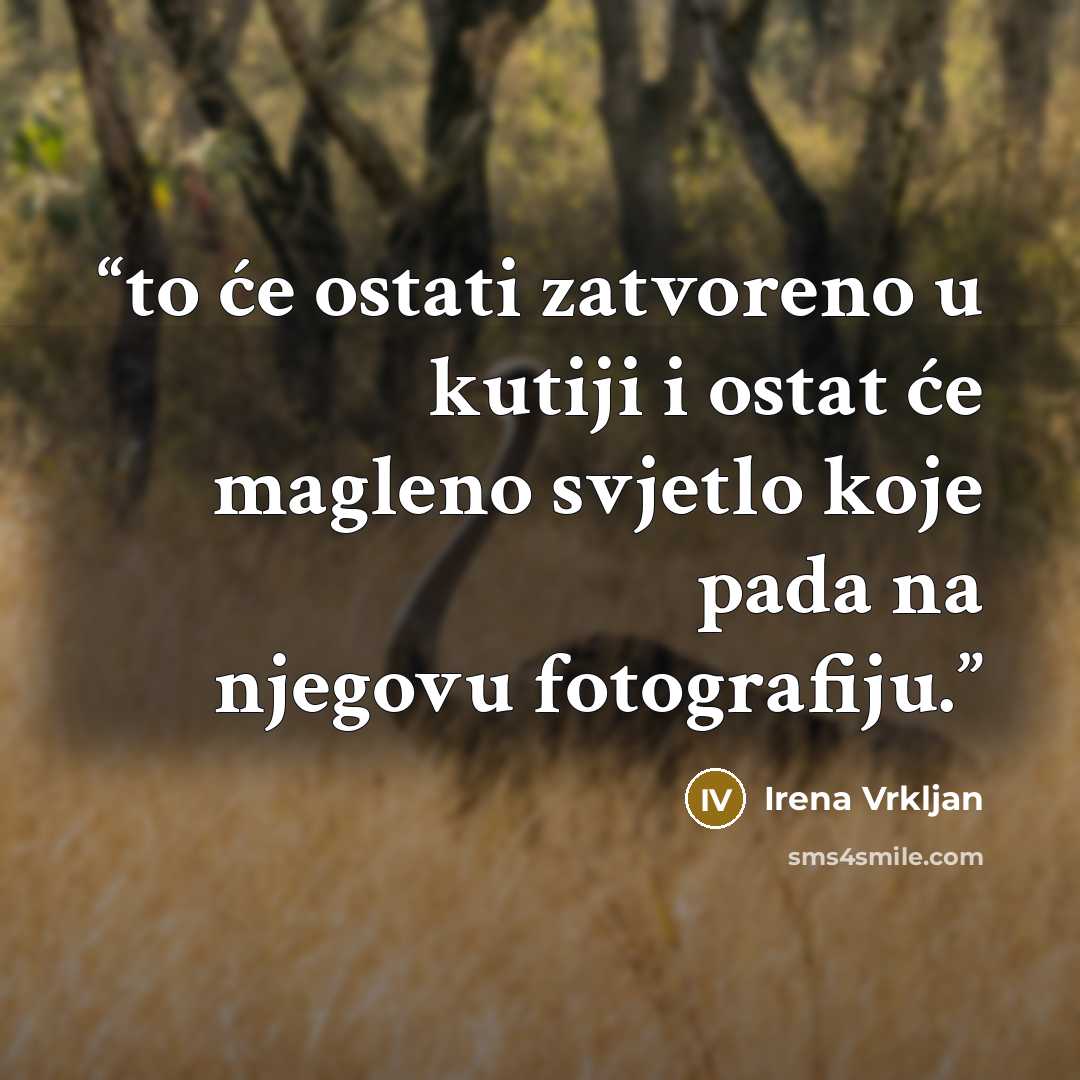 “to će ostati zatvoreno u kutiji i ostat će magleno svjetlo koje pada na njegovu fotografiju.” quote by Irena Vrkljan