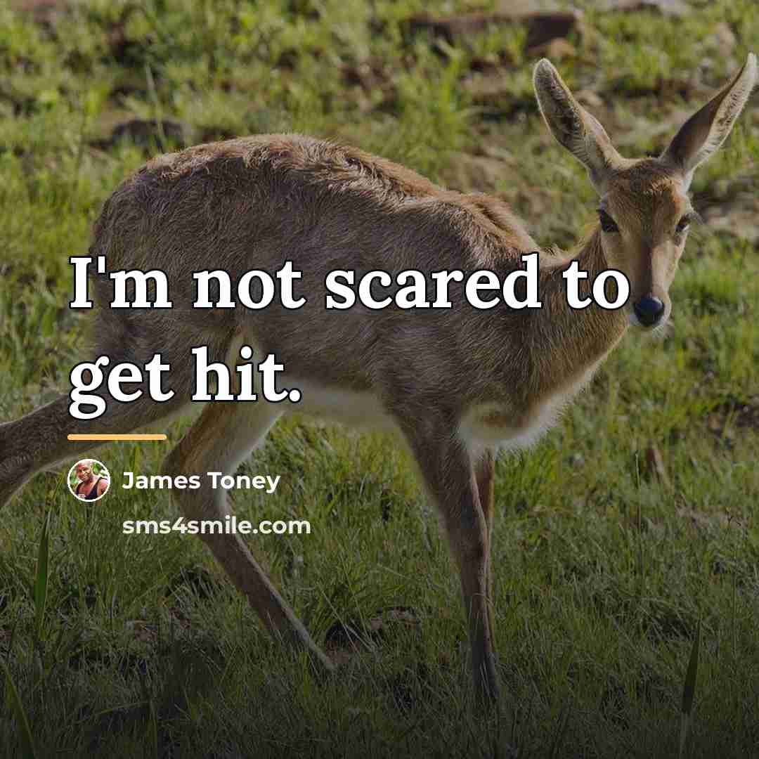 “I'm not scared to get hit.…” quote by James Toney