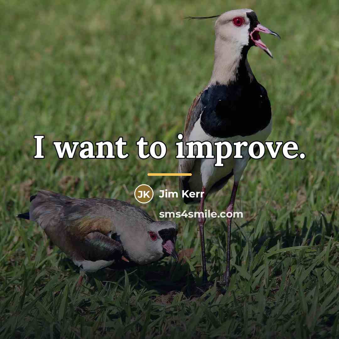 “I want to improve.…” quote by Jim Kerr