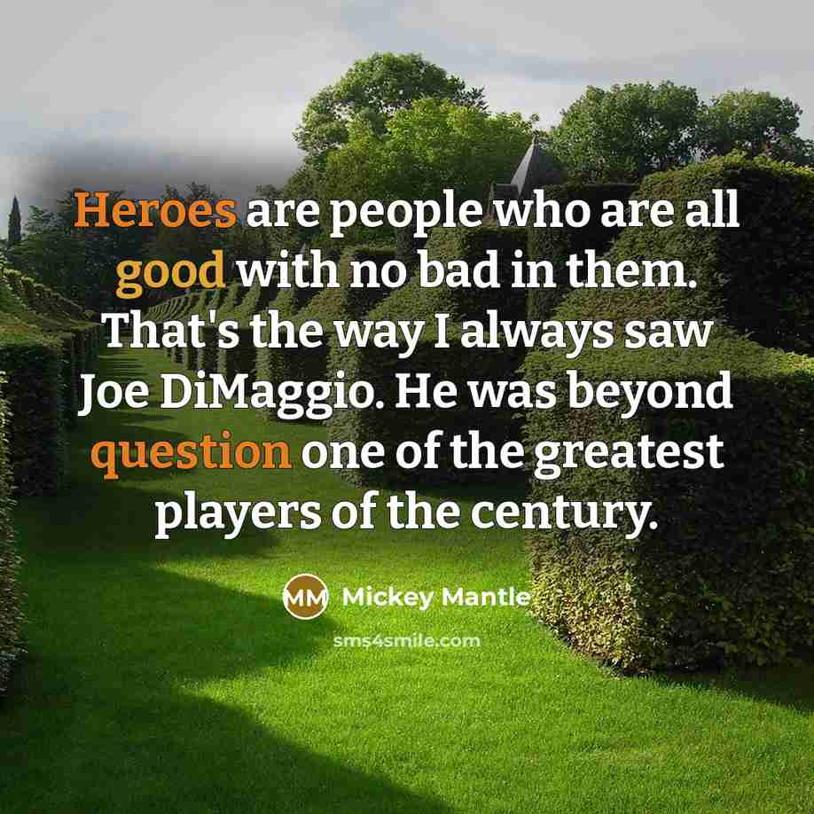 “Heroes are people who are all good with no bad in them. That's the way I always saw Joe DiMaggio. He was beyond question one of the greatest players of the century.” quote by Mickey Mantle