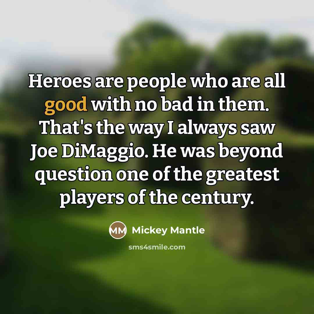 “Heroes are people who are all good with no bad…” quote by Mickey Mantle