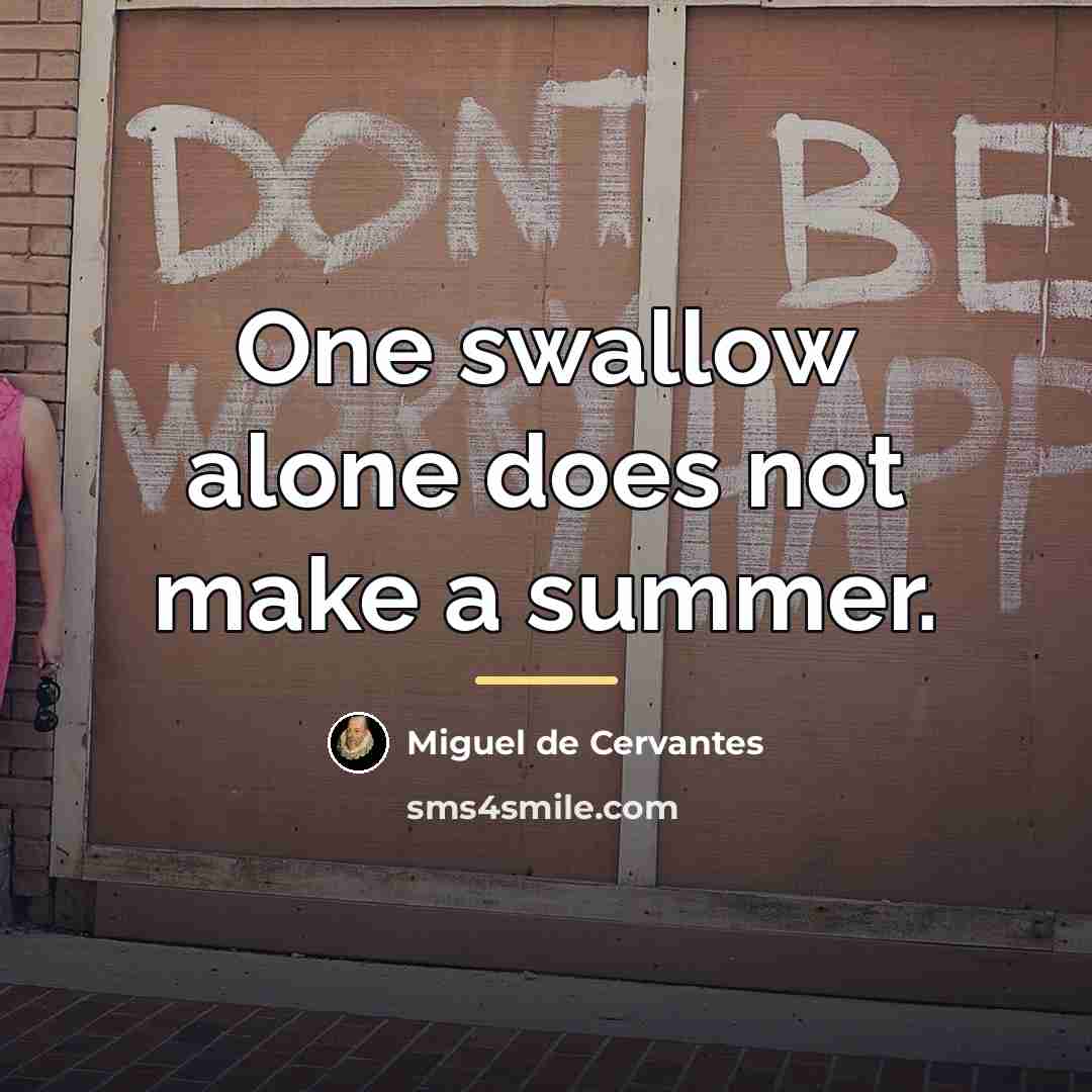 “One swallow alone does not make a summer.…” quote by Miguel de Cervantes