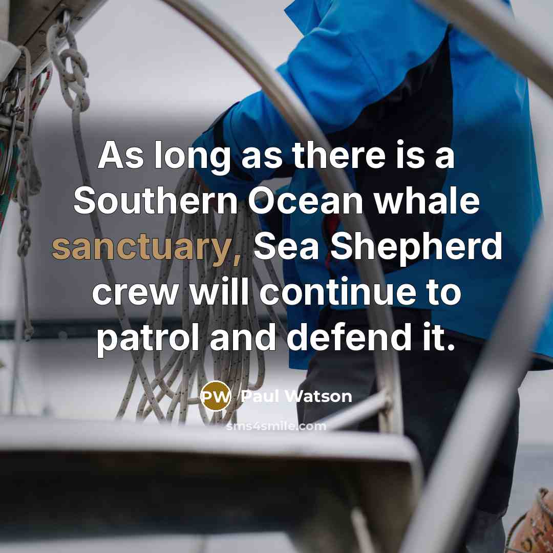 “As long as there is a Southern Ocean whale sanctuary,…” quote by Paul Watson