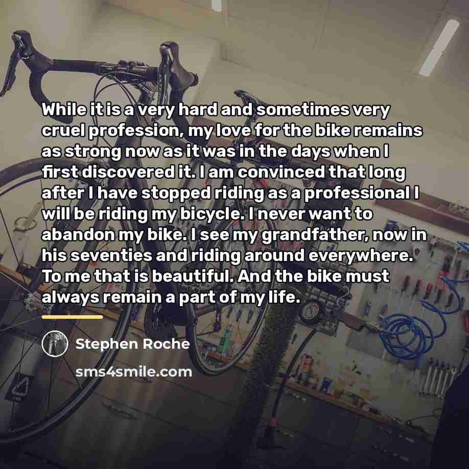“While it is a very hard and sometimes very cruel…” quote by Stephen Roche