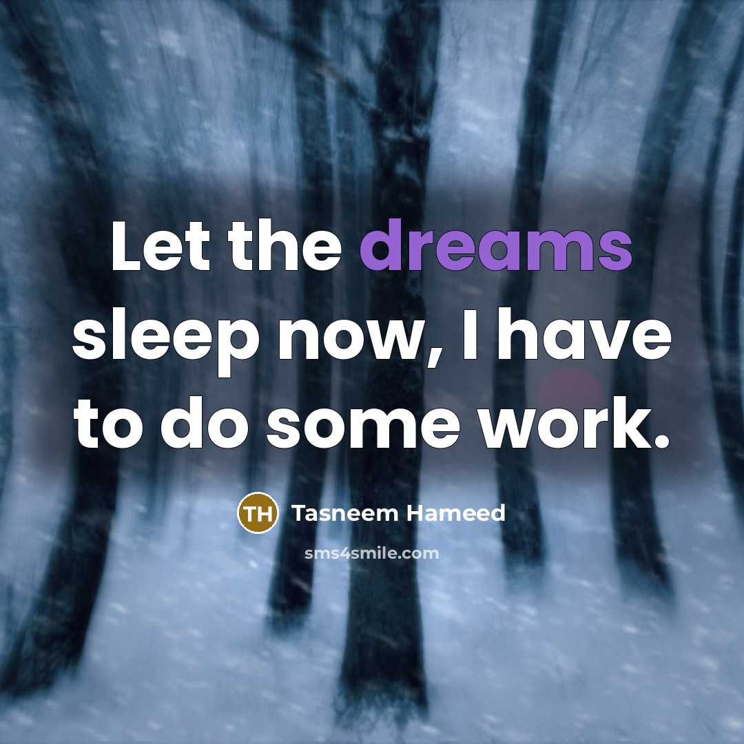 “Let the dreams sleep now, I have to do some…” quote by Tasneem Hameed