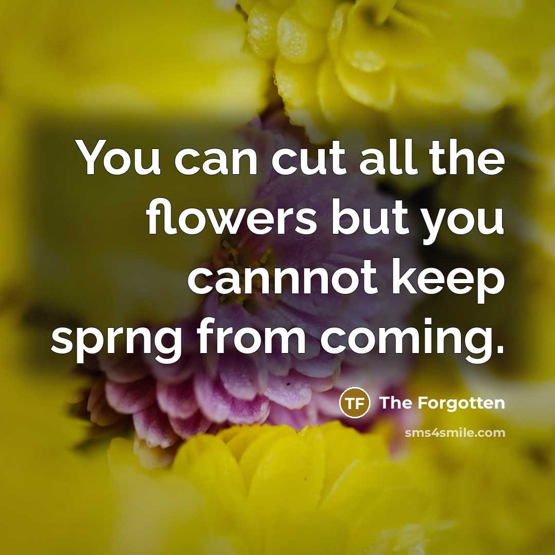 “You can cut all the flowers but you cannnot keep sprng from coming.” quote by The Forgotten