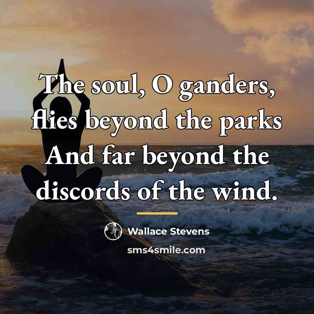 “The soul, O ganders, flies beyond the parks And far…” quote by Wallace Stevens