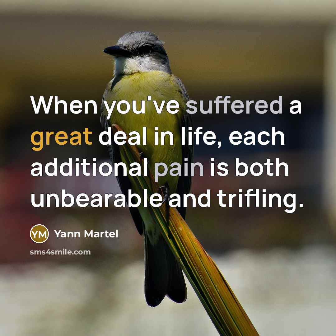 “When you've suffered a great deal in life, each additional…” quote by Yann Martel