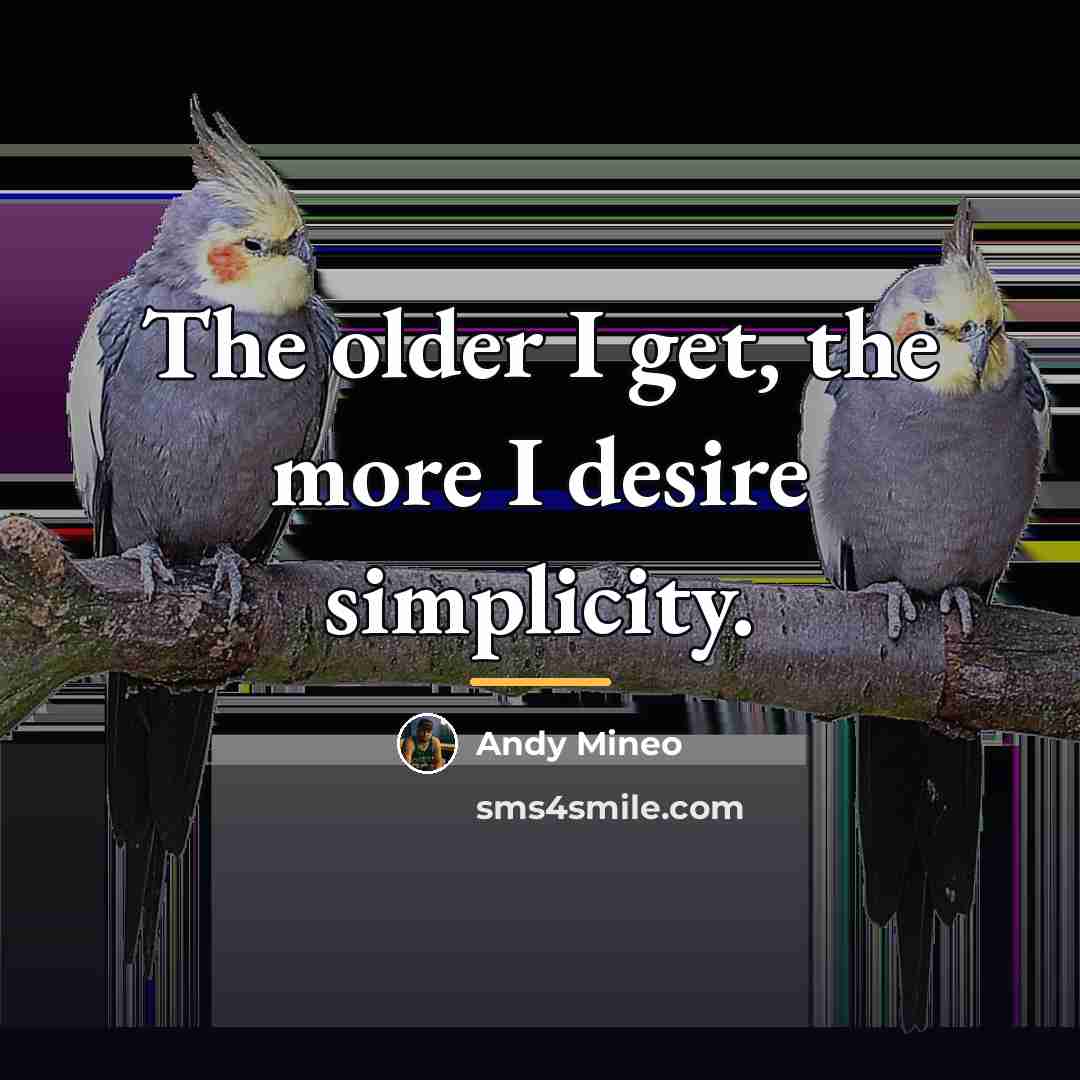 “The older I get, the more I desire simplicity.…” quote by Andy Mineo