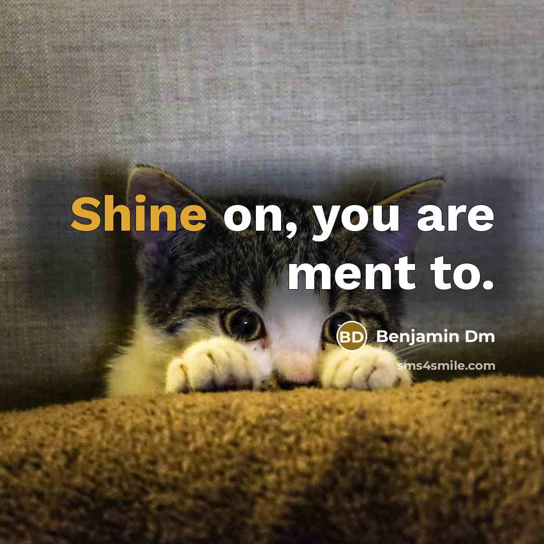 “Shine on, you are ment to.…” quote by Benjamin Dm