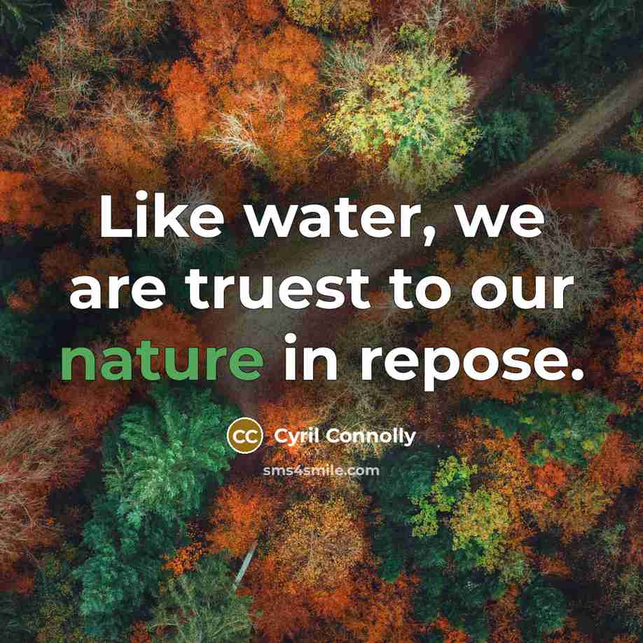 “Like water, we are truest to our nature in repose.…” quote by Cyril Connolly