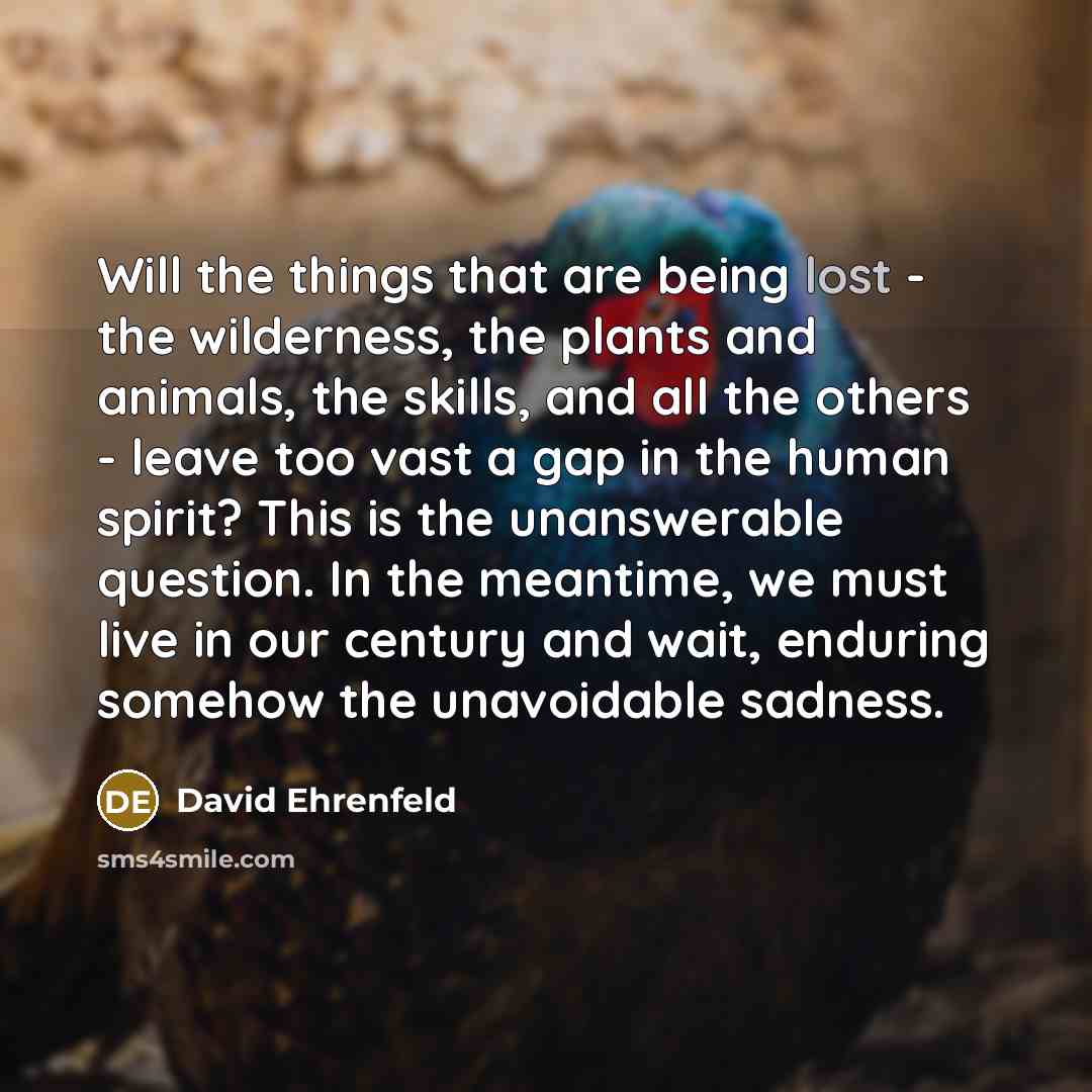“Will the things that are being lost - the wilderness,…” quote by David Ehrenfeld
