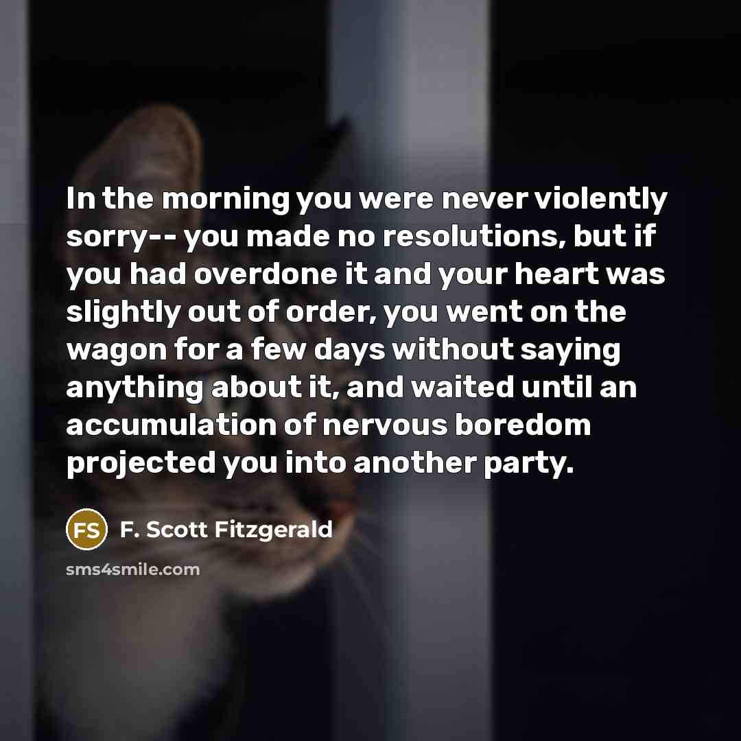 “In the morning you were never violently sorry-- you made…” quote by F. Scott Fitzgerald