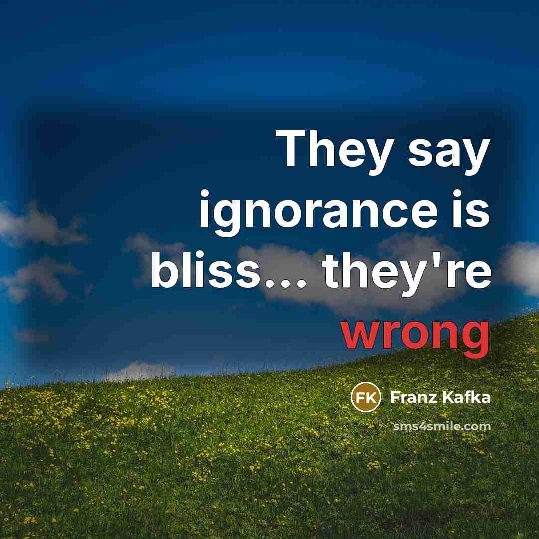 “They say ignorance is bliss.... they're wrong…” quote by Franz Kafka