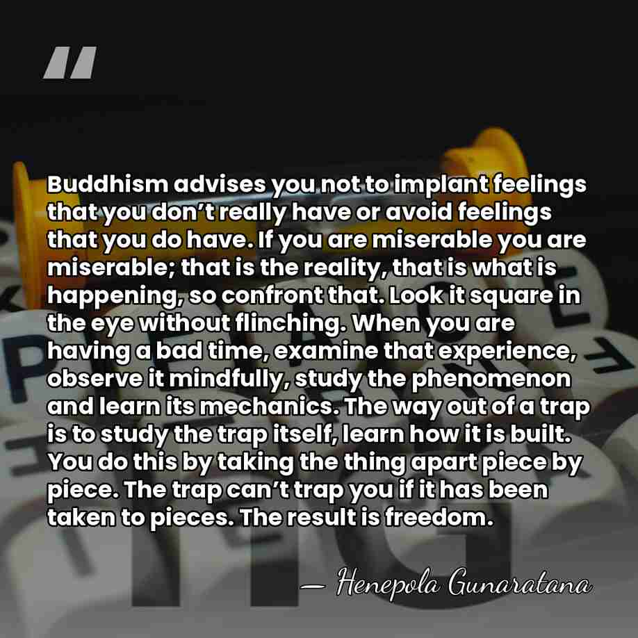 Buddhism advises you not to implant feelings that you don’t really have&hellip; - Henepola Gunaratana