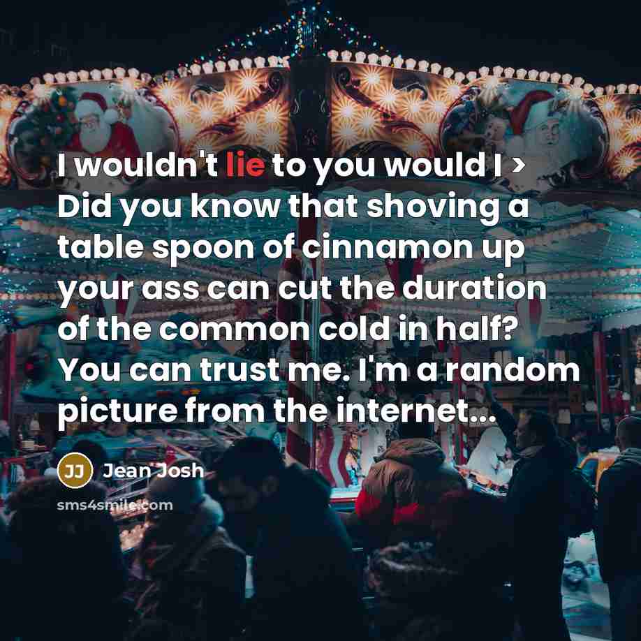 “I wouldn't lie to you would I > Did you…” quote by Jean Josh