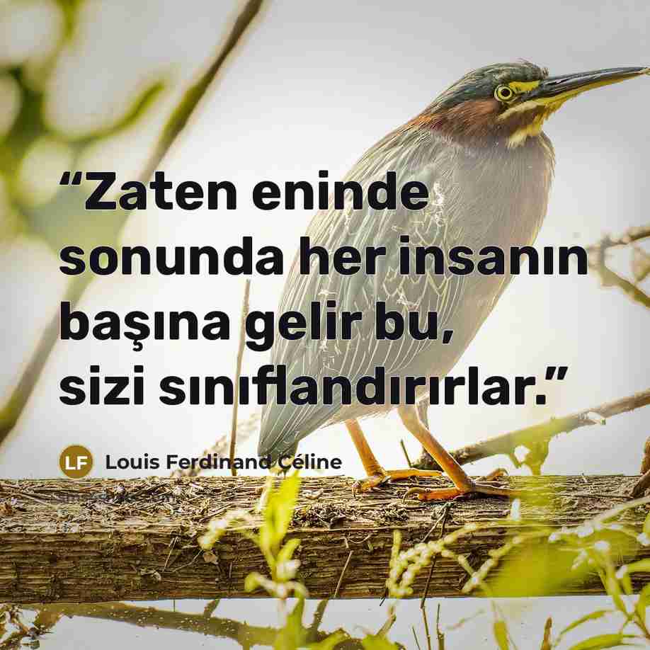 “Zaten eninde sonunda her insanın başına gelir bu, sizi sınıflandırırlar.” quote by Louis Ferdinand Céline