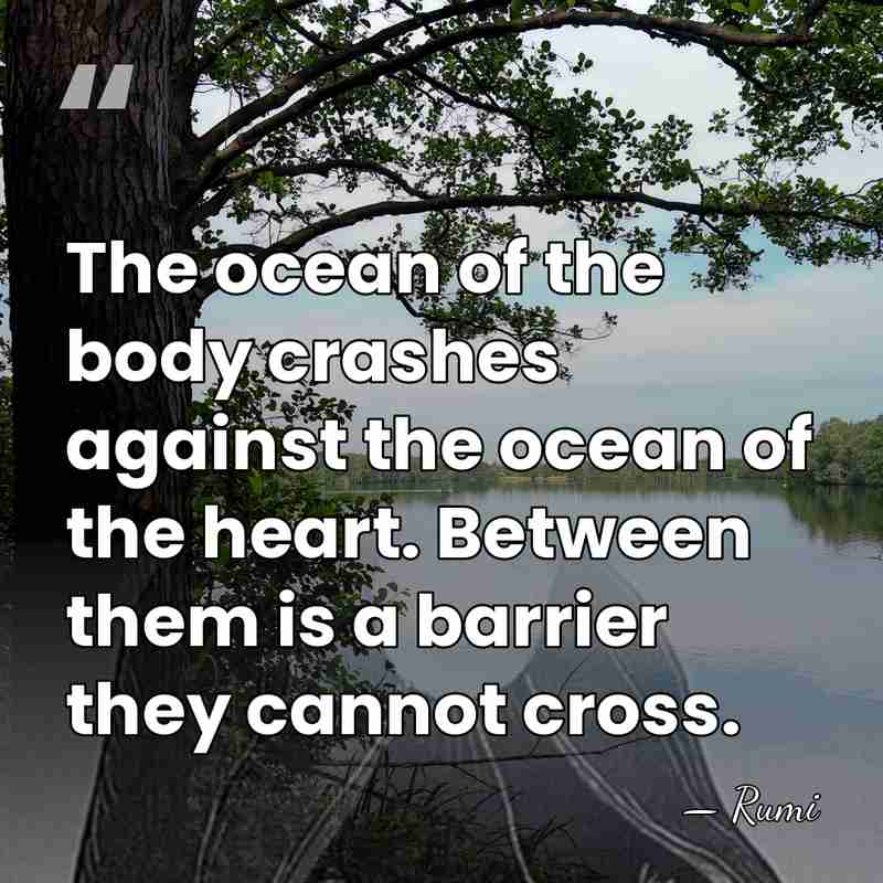 The ocean of the body crashes against the ocean of the heart.&hellip; - Rumi