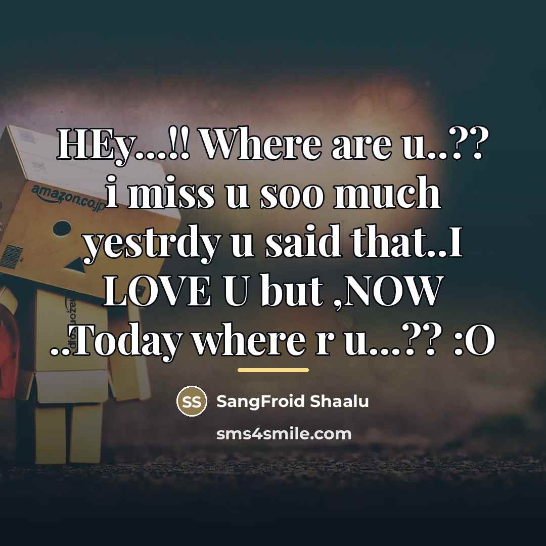 “HEy...!! Where are u..?? i miss u soo much yestrdy…” quote by SangFroid Shaalu
