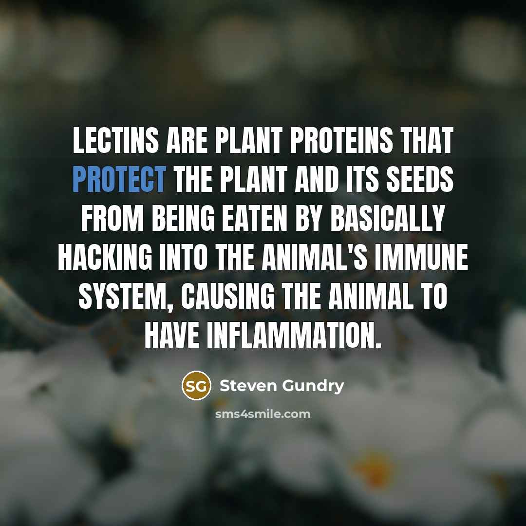 “Lectins are plant proteins that protect the plant and its…” quote by Steven Gundry