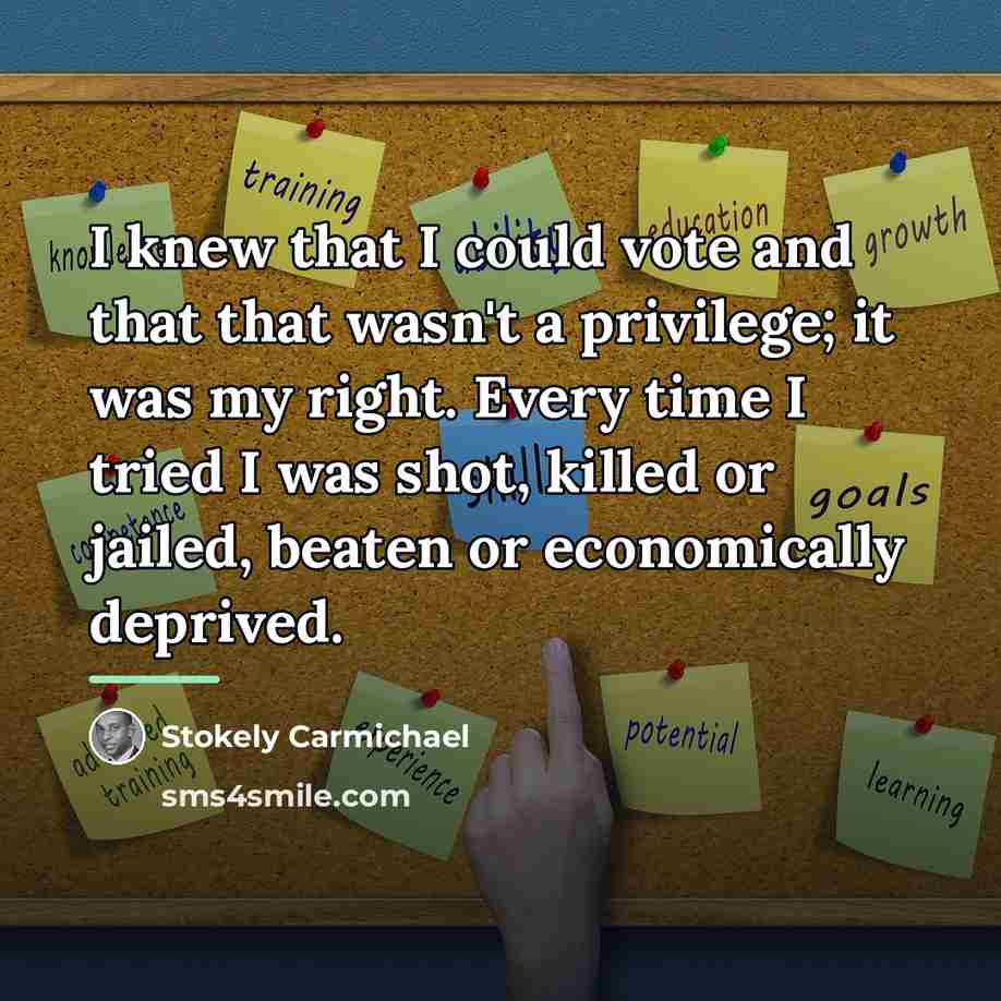 “I knew that I could vote and that that wasn't…” quote by Stokely Carmichael