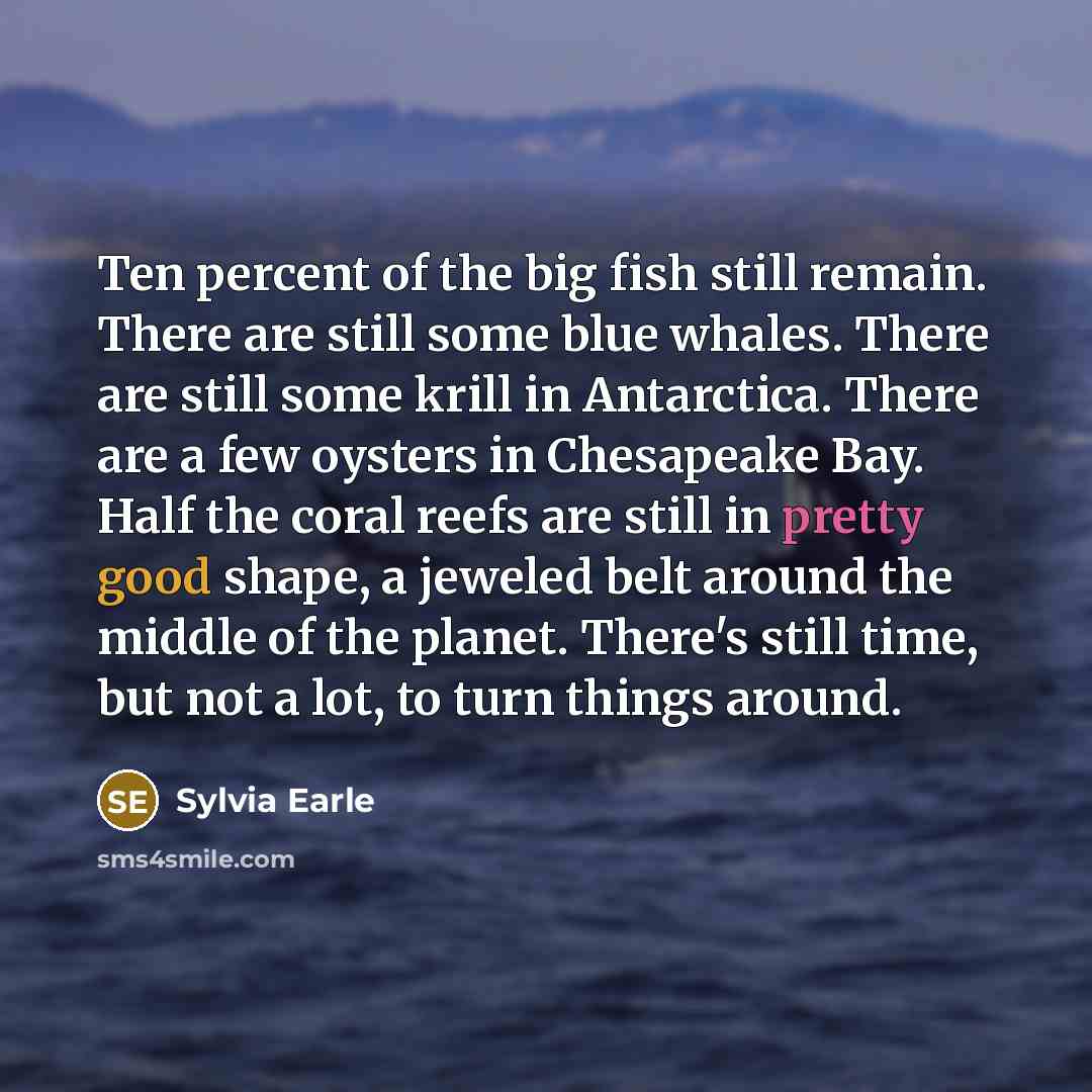 “Ten percent of the big fish still remain. There are…” quote by Sylvia Earle