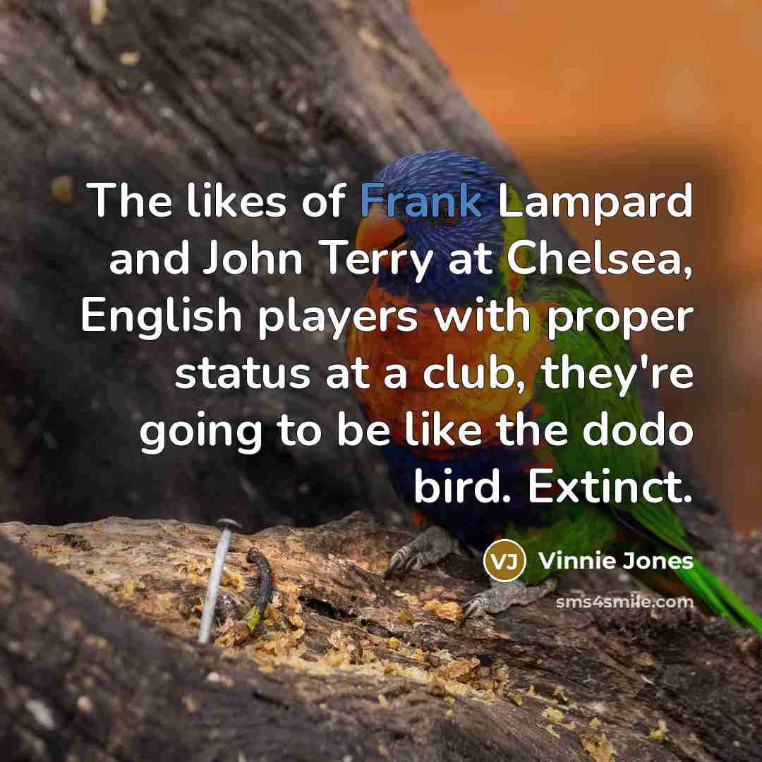“The likes of Frank Lampard and John Terry at Chelsea,…” quote by Vinnie Jones