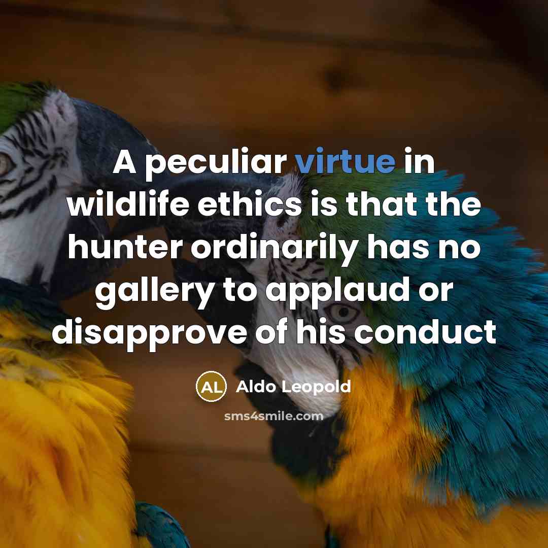 “A peculiar virtue in wildlife ethics is that the hunter…” quote by Aldo Leopold