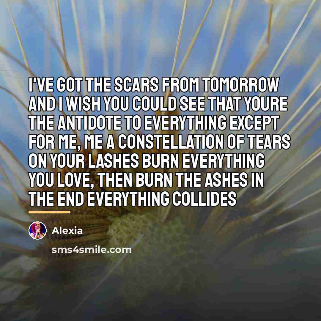 “I've got the scars from tomorrow and I wish you…” quote by Alexia